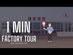 Descubra a fábrica acidificada ao chumbo a maior da bateria de carro de Ásia em apenas 1 minuto